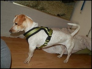 Amy Geschirr 020.JPG