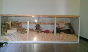 hamsterheaven.jpg