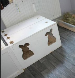 buddelkiste.JPG buddelkiste.JPG