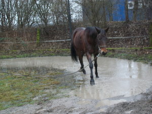 MD006754_Bildgröße ändern.JPG