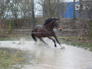 MD006760_Bildgröße ändern.JPG