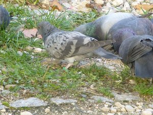 2013-10-14 17.14.48 - Kopie.jpg