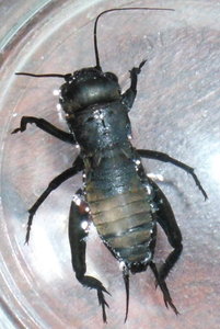 DSCI0846klein.jpg DSCI0846klein.jpg