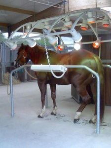 Bild035 (480x640).jpg Bild035 (480x640).jpg