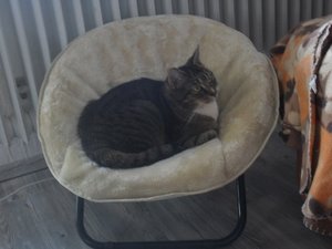 SDC11774.JPG SDC11774.JPG