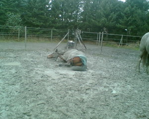 Bild023_Bildgröße ändern.jpg