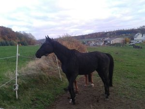 altAh8ot3AvEAlyDtmeDJg10I2YgVbWvPvoNxbmAk_sZQex (2).jpg