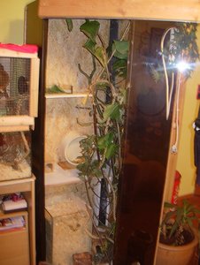 DSCN7204.JPG DSCN7204.JPG