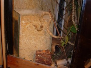 DSCN7206.JPG DSCN7206.JPG