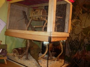 DSCN7208.JPG DSCN7208.JPG