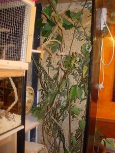 DSCN7203.JPG DSCN7203.JPG