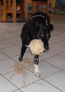 SAM_0344.JPG SAM_0344.JPG