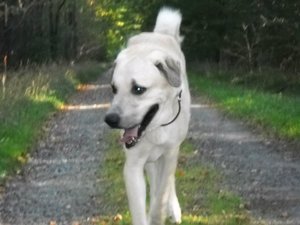 582281_444583235552047_95466792_n.jpg 582281_444583235552047_95466792_n.jpg