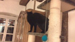 Save Handy bilder 065.JPG Save Handy bilder 065.JPG