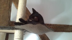 Save Handy bilder 083.JPG Save Handy bilder 083.JPG