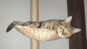 Save Handy bilder 133.JPG Save Handy bilder 133.JPG