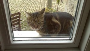 Save Handy bilder 141.JPG Save Handy bilder 141.JPG