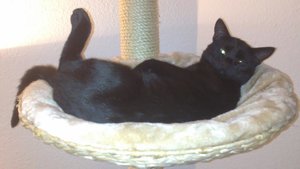 Save Handy bilder 154.JPG Save Handy bilder 154.JPG