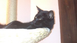 Save Handy bilder 157.JPG Save Handy bilder 157.JPG