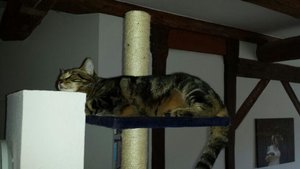 Save Handy bilder 172.JPG Save Handy bilder 172.JPG