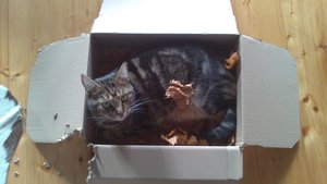 Save Handy bilder 174.JPG Save Handy bilder 174.JPG