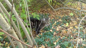 Save Handy bilder 181.JPG Save Handy bilder 181.JPG