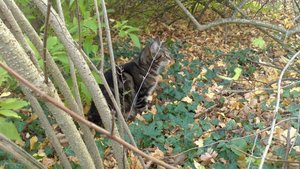 Save Handy bilder 182.JPG Save Handy bilder 182.JPG