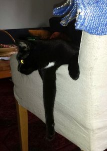 Save Handy bilder 168.JPG Save Handy bilder 168.JPG