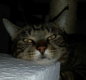 Save Handy bilder 170.JPG Save Handy bilder 170.JPG