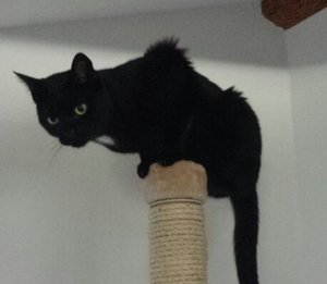 Save Handy bilder 184.JPG Save Handy bilder 184.JPG