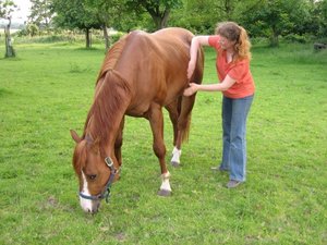 Bernhard 2 (640x480).jpg