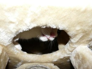 Poldice 1_755x566.jpg