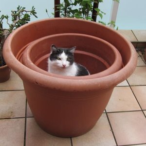 Poldice 2_566x566.jpg