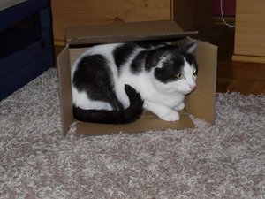 Poldice 5_755x566.jpg