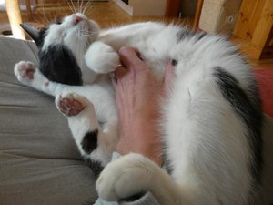 Poldice 7_755x566.jpg