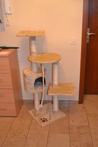 Kratzbaum2.jpg Kratzbaum2.jpg