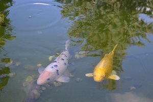 DSC_0494.JPG DSC_0494.JPG