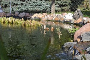 DSC_0823.JPG DSC_0823.JPG