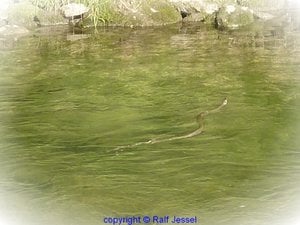 fb11062551.jpg fb11062551.jpg