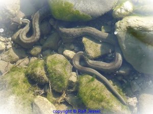 fb11062552.jpg fb11062552.jpg