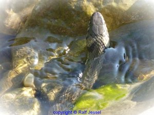 fb11062554.jpg fb11062554.jpg