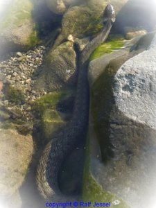 fb11062555.jpg fb11062555.jpg