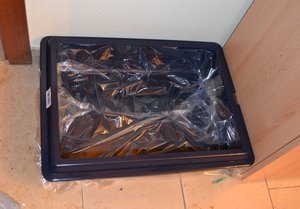 Kaklo Flur.JPG Kaklo Flur.JPG