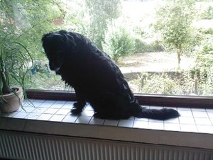 22062012(001) - Kopie.jpg