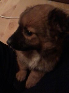 2013-11-02 21.06.25.jpg