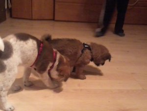 2013-11-05 18.44.32.jpg