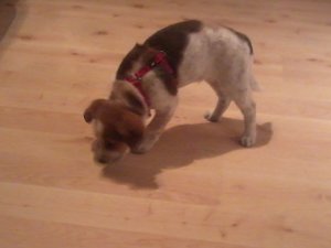 2013-11-05 18.48.22.jpg