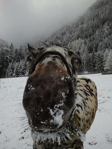 2013-11-21 14.47.13.jpg