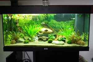 Aquarium.jpg Aquarium.jpg