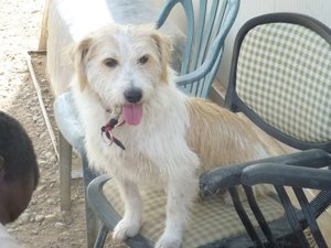 Espinete2.jpg Espinete2.jpg